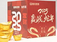 开工大吉 | 2025年，再启 “ 星 ” 征程！